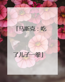 马斯克：吃了儿子一拳