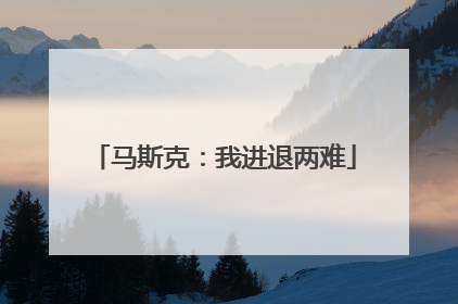 马斯克：我进退两难