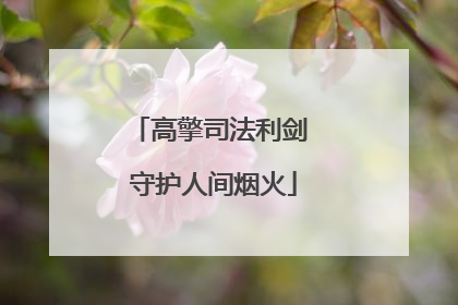 高擎司法利剑 守护人间烟火