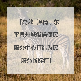 高效+温情，东平县州城街道便民服务中心打造为民服务新标杆