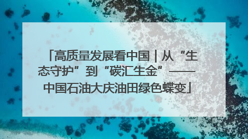 高质量发展看中国｜从“生态守护”到“碳汇生金”——中国石油大庆油田绿色蝶变