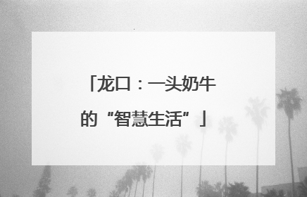 龙口：一头奶牛的“智慧生活”