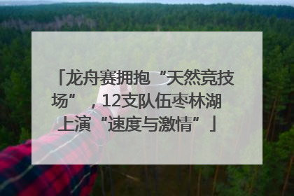 龙舟赛拥抱“天然竞技场”，12支队伍枣林湖上演“速度与激情”