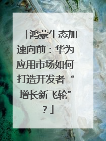 鸿蒙生态加速向前：华为应用市场如何打造开发者“增长新飞轮”？