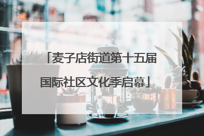 麦子店街道第十五届国际社区文化季启幕