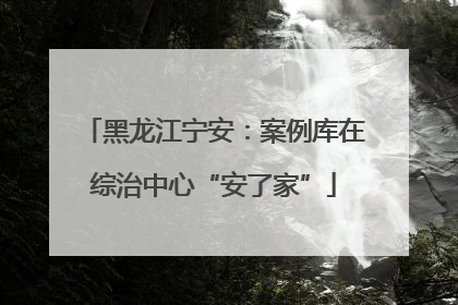 黑龙江宁安：案例库在综治中心“安了家”