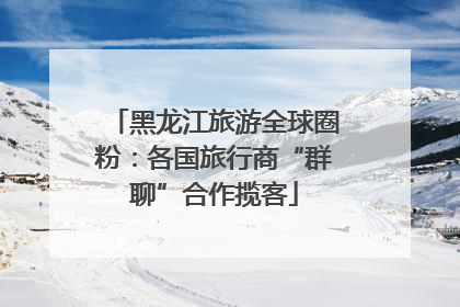 黑龙江旅游全球圈粉：各国旅行商“群聊”合作揽客