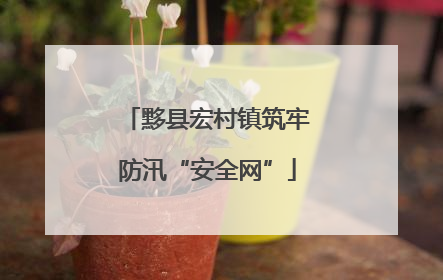 黟县宏村镇筑牢防汛“安全网”