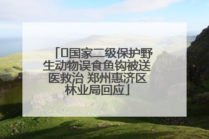 ﻿国家二级保护野生动物误食鱼钩被送医救治 郑州惠济区林业局回应