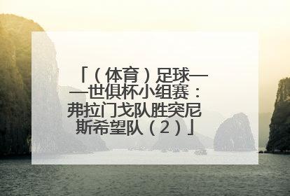 （体育）足球——世俱杯小组赛：弗拉门戈队胜突尼斯希望队（2）