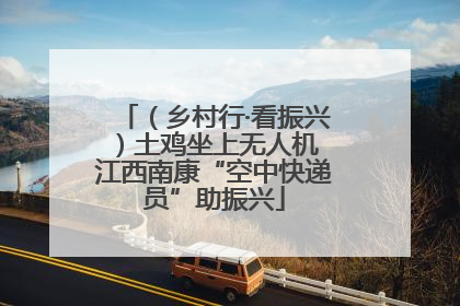 （乡村行·看振兴）土鸡坐上无人机 江西南康“空中快递员”助振兴