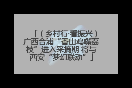 （乡村行·看振兴）广西合浦“香山鸡嘴荔枝”进入采摘期 将与西安“梦幻联动”