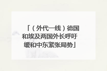 （外代一线）德国和埃及两国外长呼吁缓和中东紧张局势