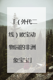 （外代二线）欧宝动物园的非洲象宝宝