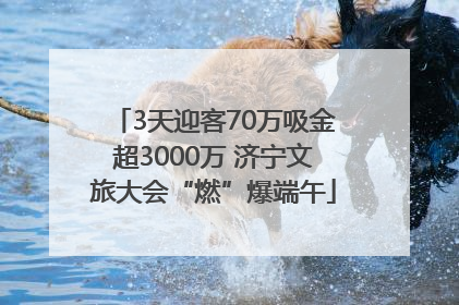 3天迎客70万吸金超3000万 济宁文旅大会“燃”爆端午