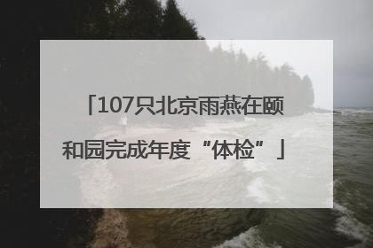 107只北京雨燕在颐和园完成年度“体检”