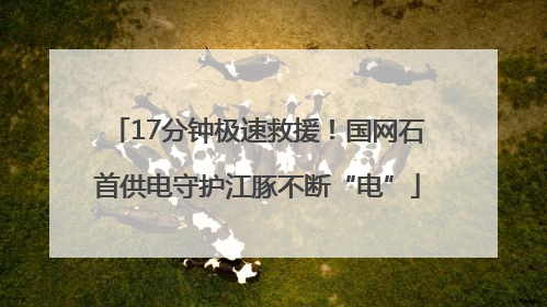 17分钟极速救援！国网石首供电守护江豚不断“电”