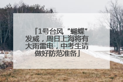 1号台风“蝴蝶”发威，周日上海将有大雨雷电，中考生请做好防范准备