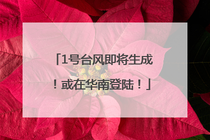 1号台风即将生成！或在华南登陆！