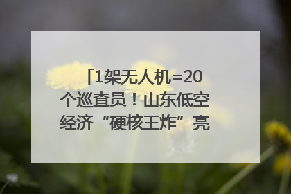 1架无人机=20个巡查员！山东低空经济“硬核王炸”亮相青岛，下一个万亿赛道藏在这里