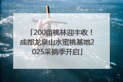 200亩桃林迎丰收！成都龙泉山水蜜桃基地2025采摘季开启