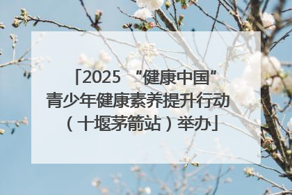 2025 “健康中国” 青少年健康素养提升行动（十堰茅箭站）举办