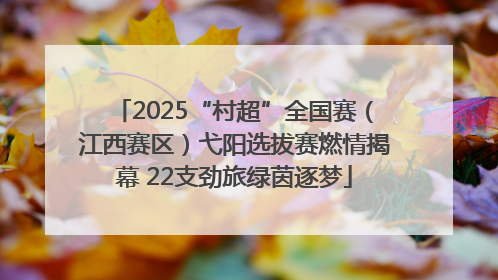 2025“村超”全国赛（江西赛区）弋阳选拔赛燃情揭幕 22支劲旅绿茵逐梦