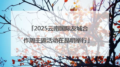 2025云南国际友城合作周主题活动在昆明举行
