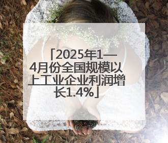 2025年1—4月份全国规模以上工业企业利润增长1.4%