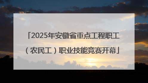 2025年安徽省重点工程职工（农民工）职业技能竞赛开幕