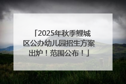 2025年秋季鲤城区公办幼儿园招生方案出炉！范围公布！