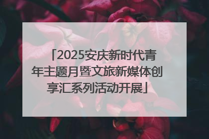 2025安庆新时代青年主题月暨文旅新媒体创享汇系列活动开展