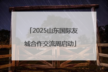 2025山东国际友城合作交流周启动