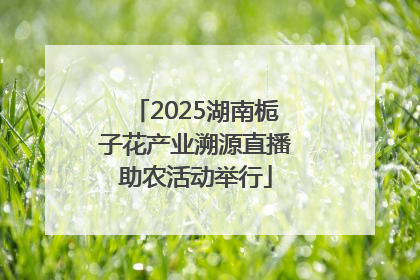 2025湖南栀子花产业溯源直播助农活动举行