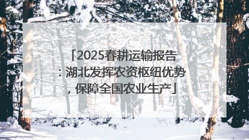 2025春耕运输报告：湖北发挥农资枢纽优势，保障全国农业生产