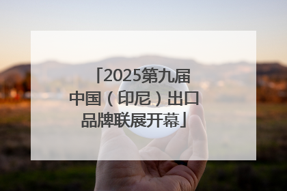 2025第九届中国（印尼）出口品牌联展开幕