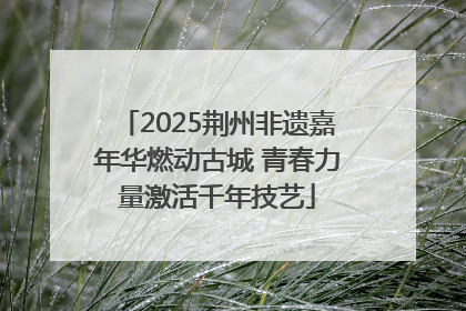 2025荆州非遗嘉年华燃动古城 青春力量激活千年技艺
