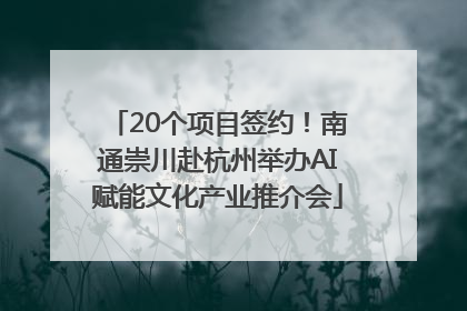 20个项目签约！南通崇川赴杭州举办AI赋能文化产业推介会