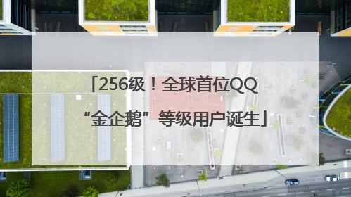 256级！全球首位QQ“金企鹅”等级用户诞生