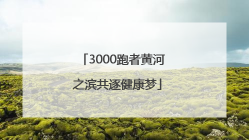 3000跑者黄河之滨共逐健康梦