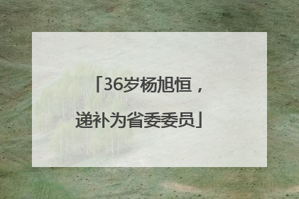 36岁杨旭恒，递补为省委委员