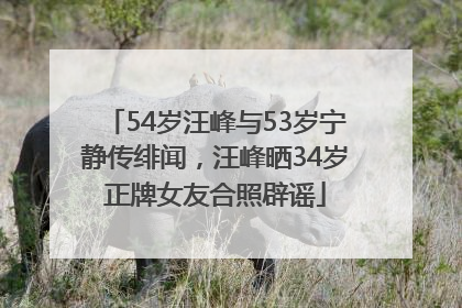 54岁汪峰与53岁宁静传绯闻，汪峰晒34岁正牌女友合照辟谣