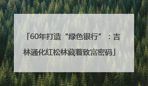 60年打造“绿色银行”：吉林通化红松林藏着致富密码