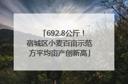 692.8公斤！宿城区小麦百亩示范方平均亩产创新高