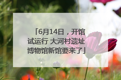 6月14日，开馆试运行 大河村遗址博物馆新馆要来了