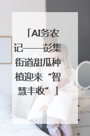 AI务农记——彭集街道甜瓜种植迎来“智慧丰收”
