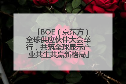 BOE（京东方）全球供应伙伴大会举行，共筑全球显示产业共生共赢新格局