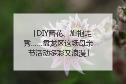 DIY簪花、旗袍走秀……盘龙区这场母亲节活动多彩又浪漫