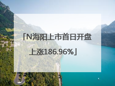 N海阳上市首日开盘上涨186.96%
